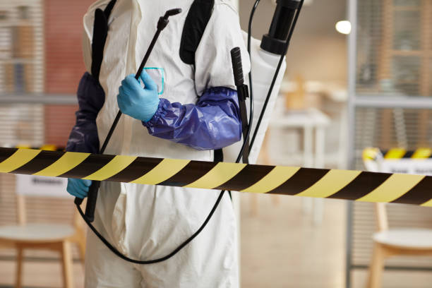 Professional Sewage Cleanup technician working in Otis Orchards, WA